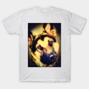 You Looking At Me?  -  Graphic 1 T-Shirt